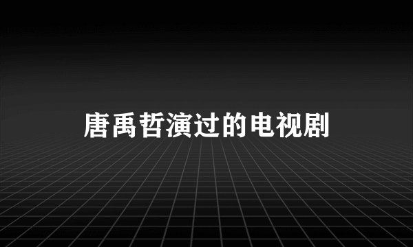 唐禹哲演过的电视剧