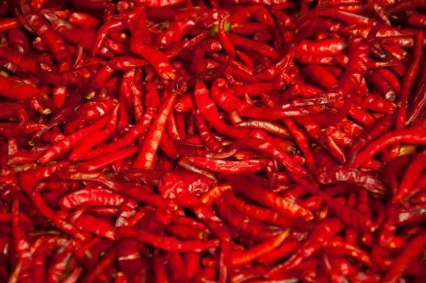 为什么说辣是一种痛觉而非味觉？