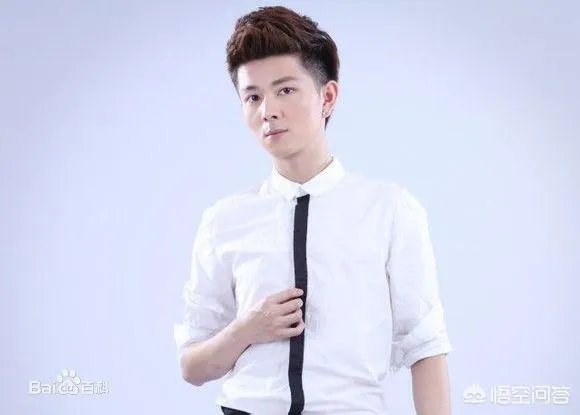 安徽阜阳的比较出名的明星有谁