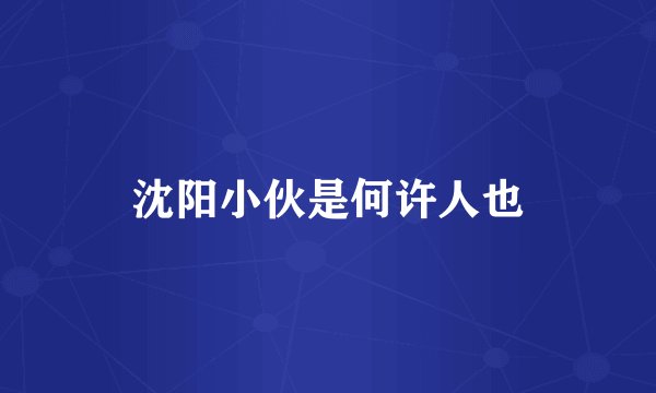 沈阳小伙是何许人也