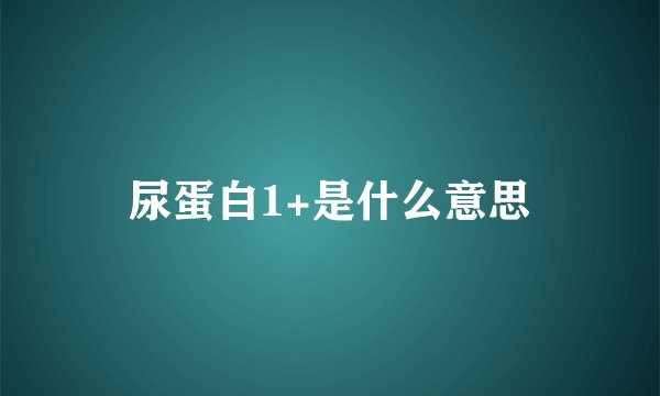 尿蛋白1+是什么意思
