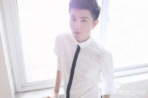 安徽阜阳的比较出名的明星有谁