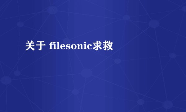 关于 filesonic求救