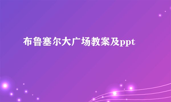 布鲁塞尔大广场教案及ppt