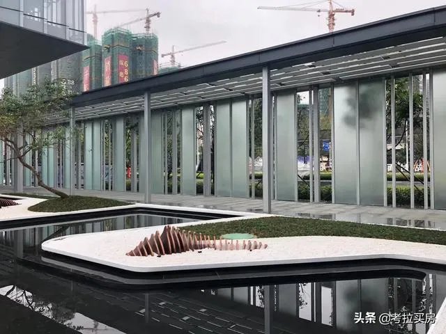 有谁可以帮助分析分析，惠州的中洲半岛城邦的房子特征麽？