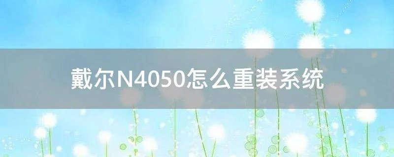 戴尔N4050怎么重装系统