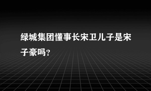 绿城集团懂事长宋卫儿子是宋子豪吗？