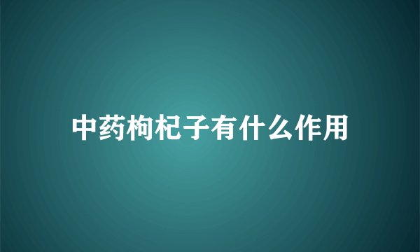 中药枸杞子有什么作用