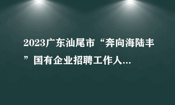 2023广东汕尾市“奔向海陆丰”国有企业招聘工作人员24人公告