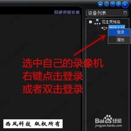 3322 花生壳远程访问大华客户端