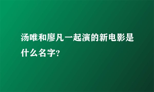 汤唯和廖凡一起演的新电影是什么名字？