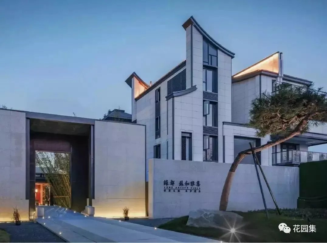 造型松，无奇不自由！气质庭院必备元素