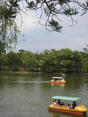 郑爽手机掉湖里，你觉得划船是否不应该玩手机？