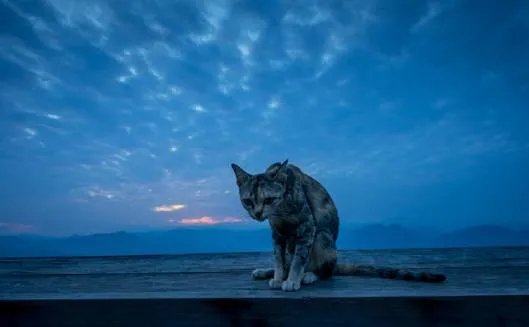 旅程相伴　索尼三剑客的一路风情