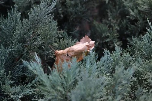 先睹为快 佳能EOS 1200D实拍样张解析