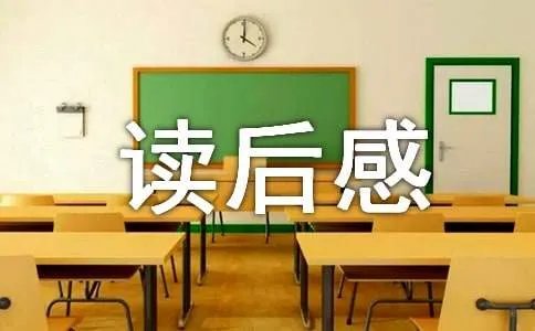 团队精神读后感