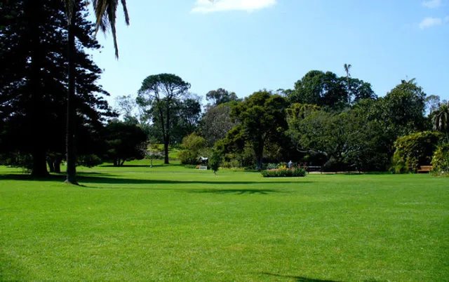 常见的园林绿化植物有哪些 园林绿化工具有哪些