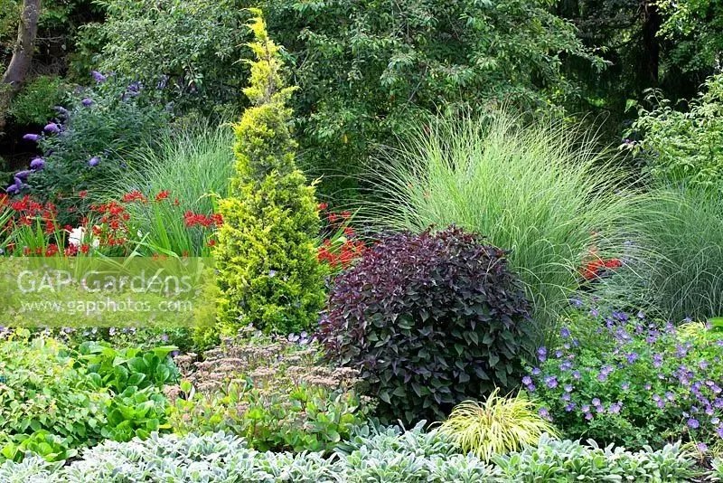 原创:花境按植物材料的分类及各自优缺点