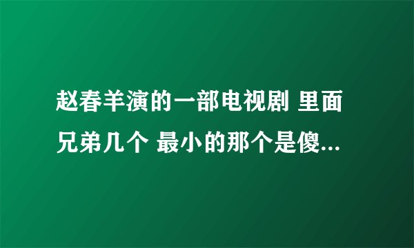 赵春羊演的一部电视剧 里面兄弟几个 最小的那个是傻子，那个电视叫什么