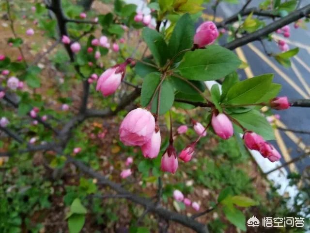 成为流浪汉是什么体验？