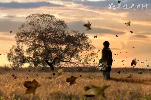 走路打电话被雷击 被雷击伤应如何急救