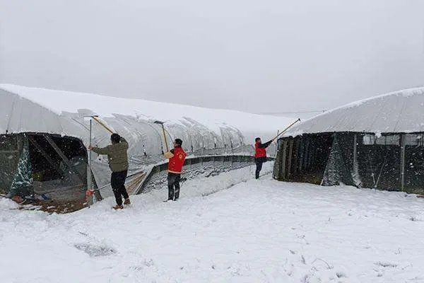 氛围感拉满!西安迎来今冬初雪,此次寒潮为什么来的这么急?