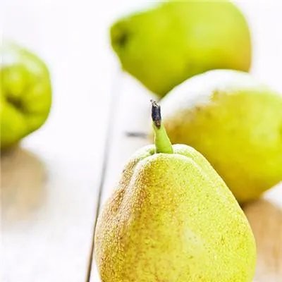 肺结核的人吃什么好