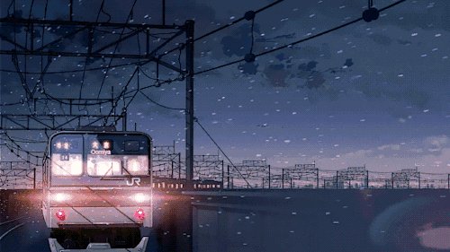 造型松，无奇不自由！气质庭院必备元素