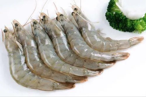 江西网购南美冻虾检出病毒，为啥南美冻虾频频出事儿？