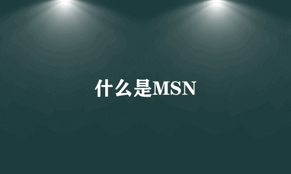 什么是MSN