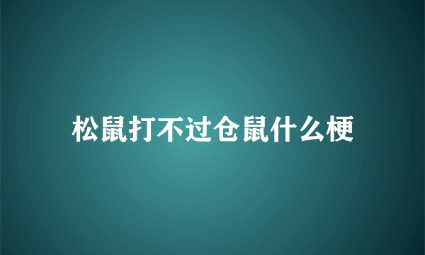 松鼠打不过仓鼠什么梗