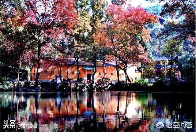 浙江一大爷做烧饼被称为“烧饼一哥”，年薪35万，这事你怎么看？