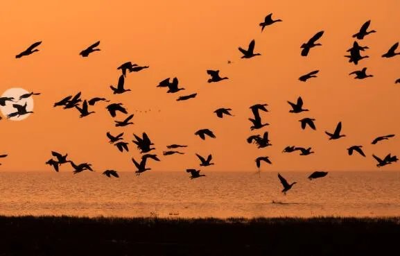 白露的寓意是什么意思