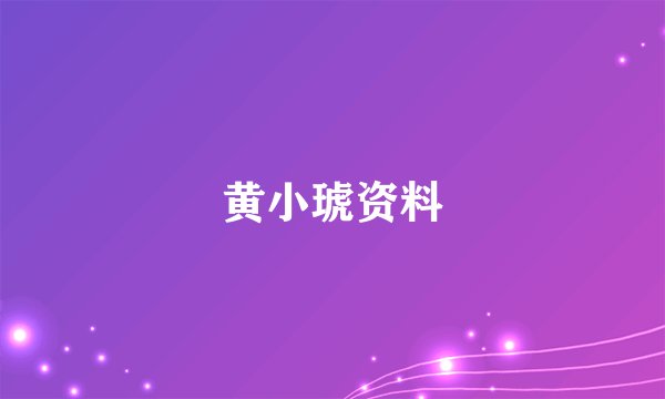 黄小琥资料