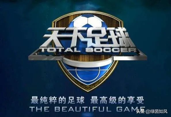 怎么评价《天下足球》评选的“黄金十年”最佳阵容？