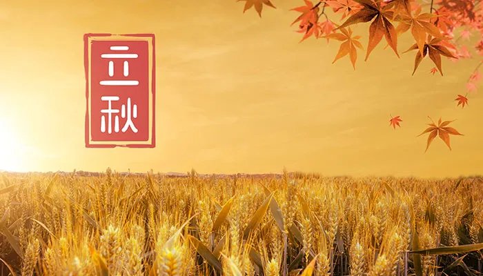 形容立秋的唯美句子