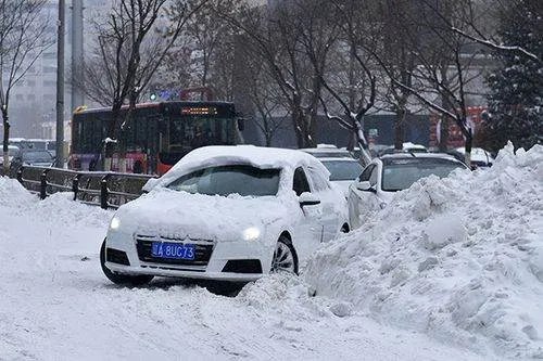 氛围感拉满!西安迎来今冬初雪,此次寒潮为什么来的这么急?