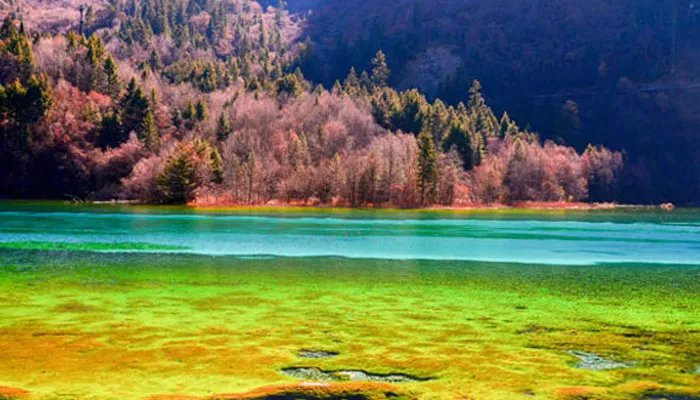 九寨沟门票多少钱 九寨沟的门票需要多少钱