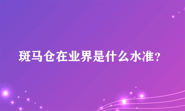 斑马仓在业界是什么水准？
