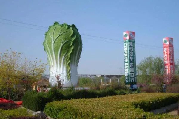 山东寿光再遭水灾，为什么利奇马早早就预告了，寿光还遭受这么大损失？