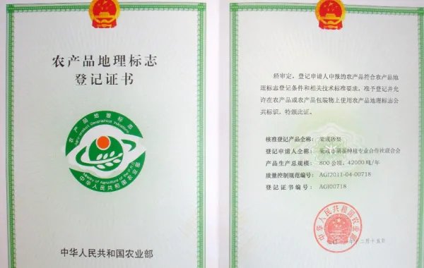 中国农业部副部长有哪几位