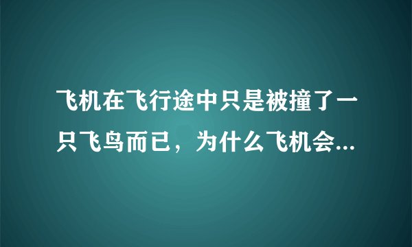 飞机在飞行途中只是被撞了一只飞鸟而已，为什么飞机会被撞凹凹凸凸的呢？ccctv飞机在天上飞的时候如果撞