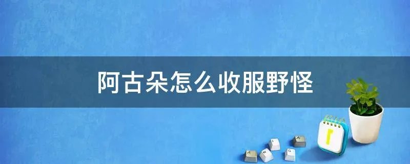 阿古朵怎么收服野怪