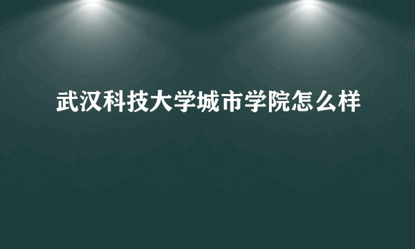 武汉科技大学城市学院怎么样