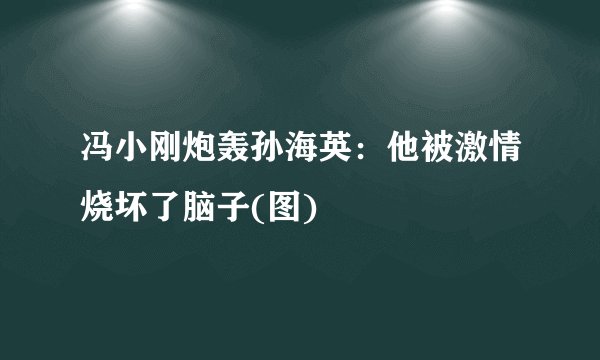 冯小刚炮轰孙海英：他被激情烧坏了脑子(图)