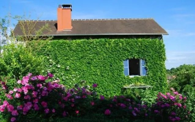 绝顶圣手江小乐苏沐月小说 绝顶圣手完结文阅读