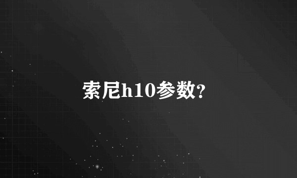 索尼h10参数？