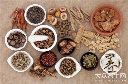 穿山甲用量用法