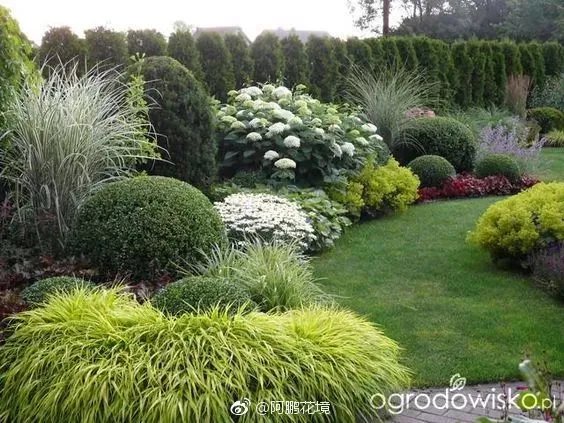 原创:花境按植物材料的分类及各自优缺点