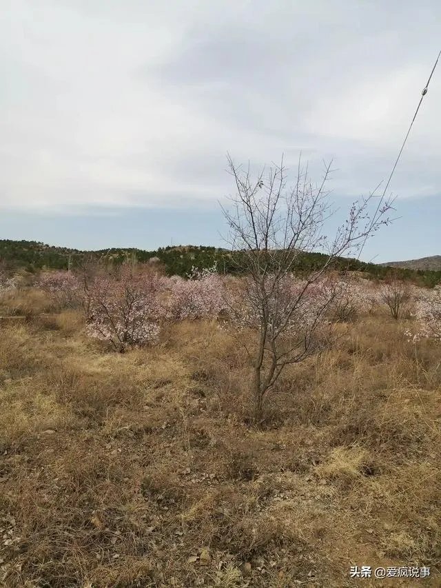 今年五一连休5天，2020年5月1日-5日，你敢不敢出去旅游？为什么？